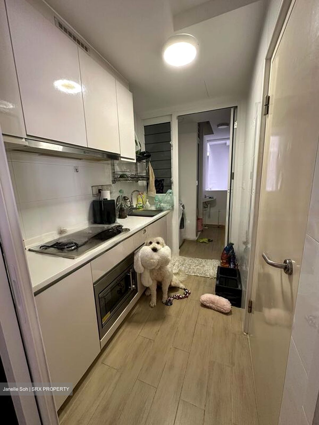 Forestville (D25), Condominium #462978401
